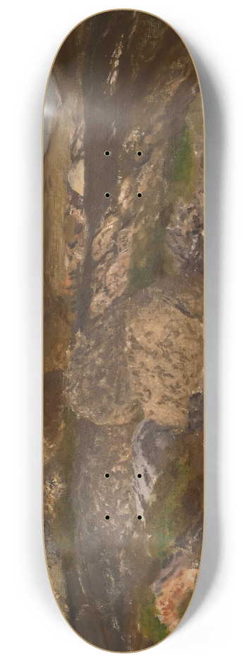 Bruno Liljefors - Rocky Ground 8.25 inch art skate deck