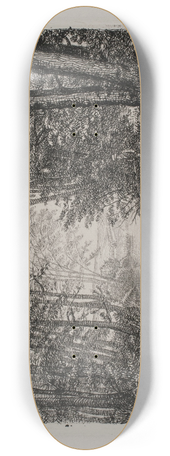CA Klle - lb i en skov 8.25 inch art skate deck
