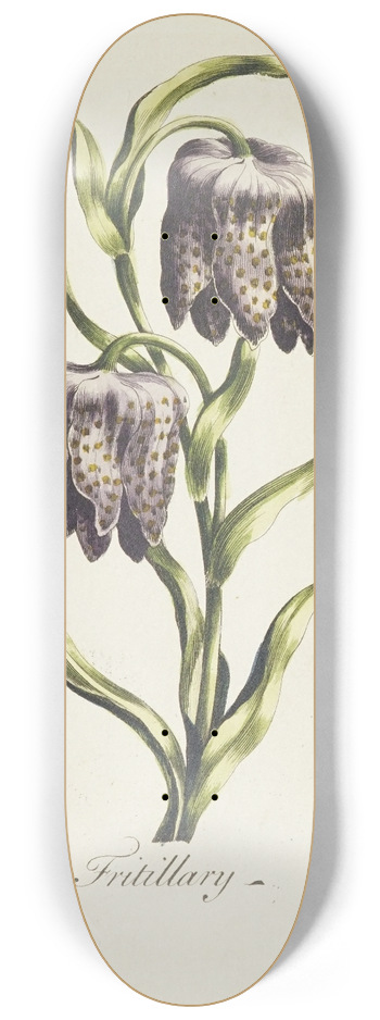 Carington Bowles - Fritillary 8.25 inch art skate deck