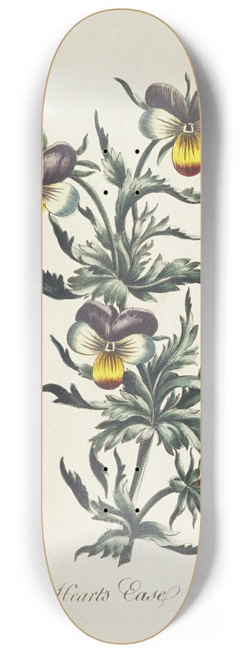 Carington Bowles - Hearts ease 8.25 inch art skate deck