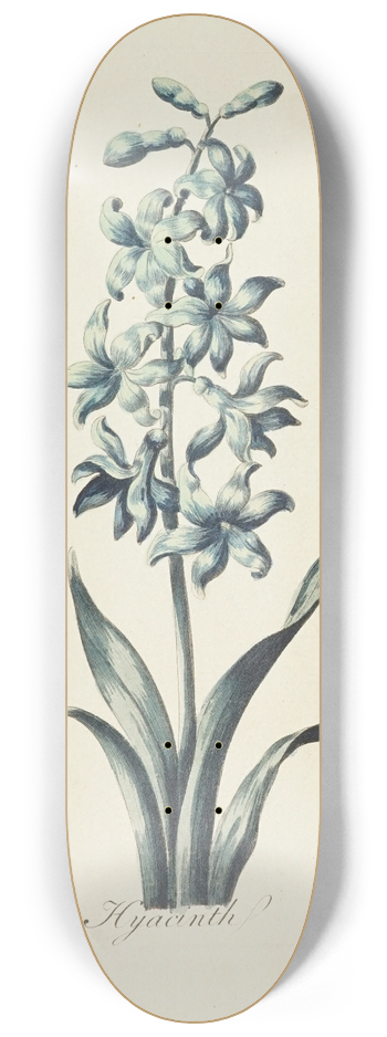 Carington Bowles - Hyacinth 8.25 inch art skate deck