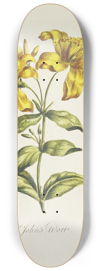 Carington Bowles - St. Johns wort 8.25 inch art skate deck