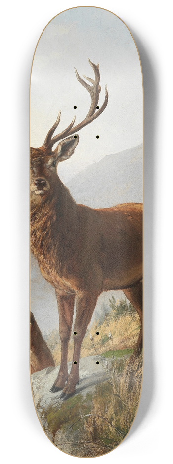 Carl Friedrich Deiker - Der kapitale Hirsch 8.25 inch art skate deck