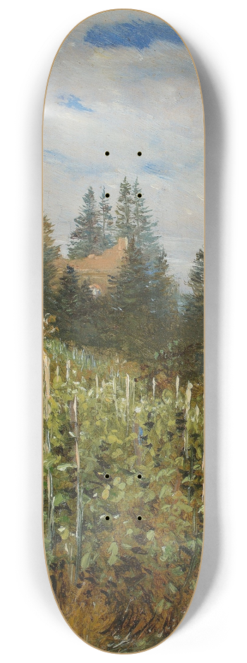 Carl Gustav Carus - Vinyard in Pillnitz in early summer 8.25 inch art skate deck