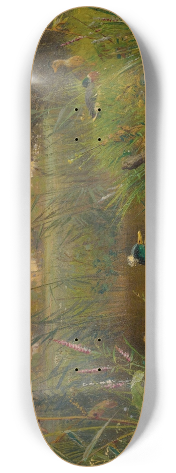 Carl Jutz - Ducks 8.25 inch art skate deck