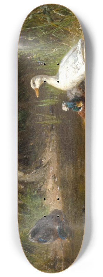Carl Jutz - Enten am Wasser 8.25 inch art skate deck