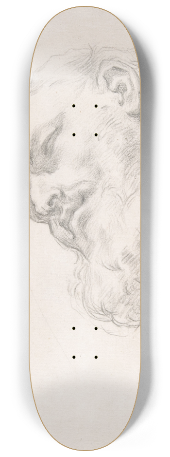 Carlo Maratti - Study for a Head of a Man 8.25 inch art skate deck
