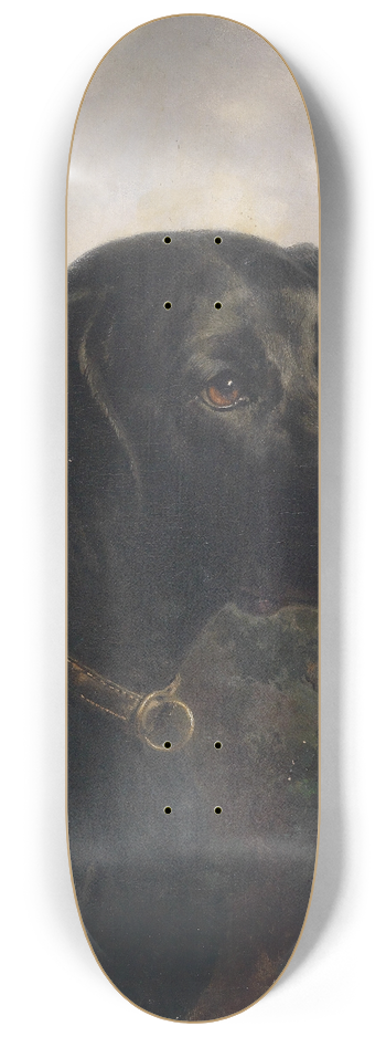 Carl Reichert - Hector 8.25 inch art skate deck