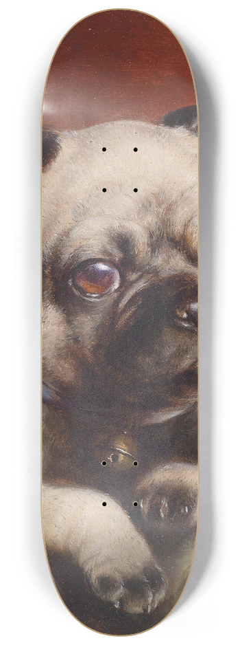 Carl Reichert - Young pug 8.25 inch art skate deck