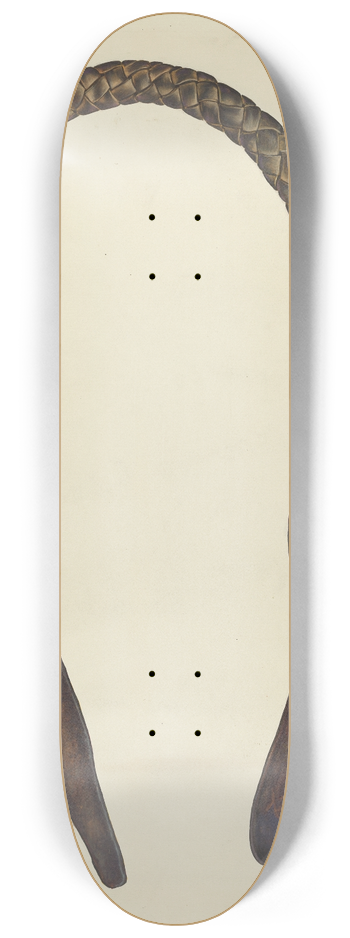 Cecil Smith - Rawhide Quirt 8.25 inch art skate deck