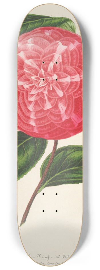 Charles Antoine Lemaire - Camellia Ninfa del Tebro 8.25 inch art skate deck
