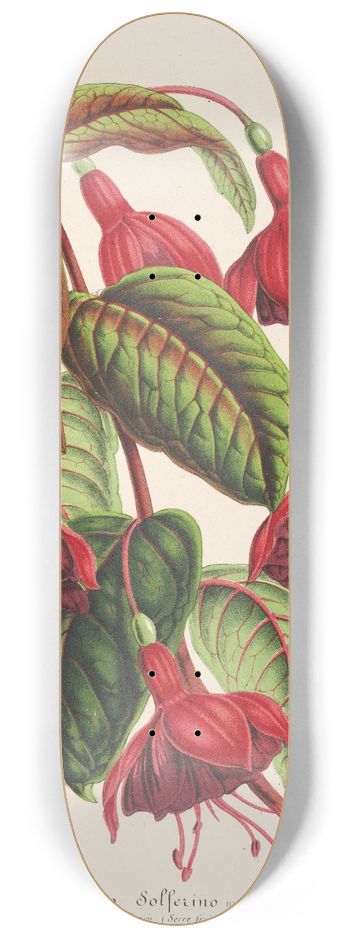 Charles Antoine Lemaire - Fuchsia Solferino 8.25 inch art skate deck