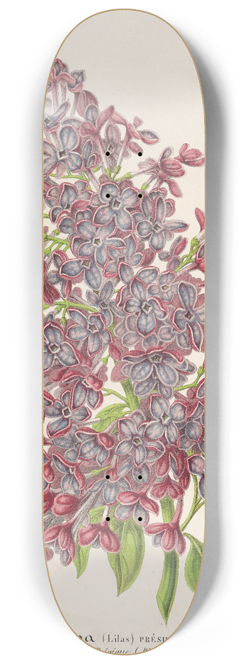 Charles Antoine Lemaire - Lilas Prsident Massart 8.25 inch art skate deck