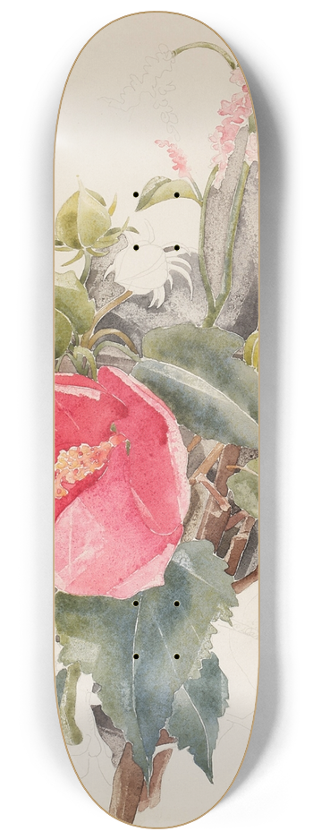 Charles Demuth - Hibiscus 8.25 inch art skate deck