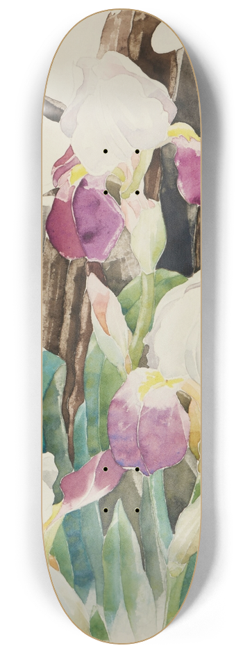 Charles Demuth - Iris 8.25 inch art skate deck