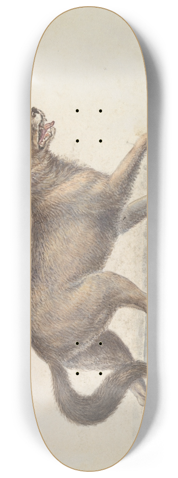 Charles Hamilton Smith - North American Prairie Wolf 8.25 inch art skate deck