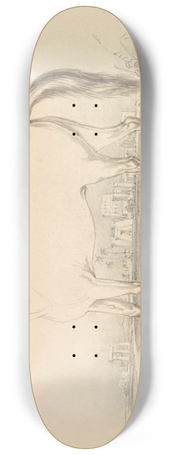 Charles Hamilton Smith - The Dongola Horse 8.25 inch art skate deck