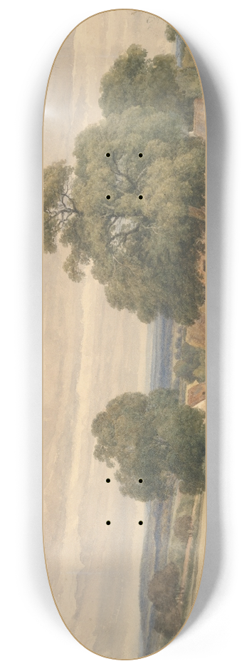 C. John M. Whichelo - Emerey Down near Lyndhurst, New Forest, Hants 8.25 inch art skate deck