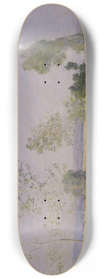 Claude Monet - Summer 8.25 inch art skate deck