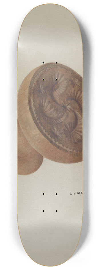 C. Mansfield - Pa. German Butter Mold 8.25 inch art skate deck