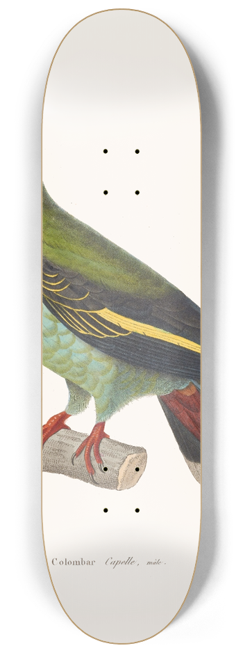 Coenraad Jacob Temminck - Colombar Capelle 8.25 inch art skate deck