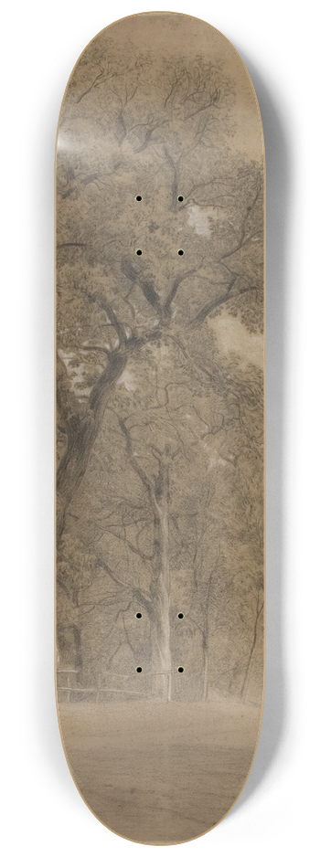 Constant Troyon - Edge of a Forest 8.25 inch art skate deck