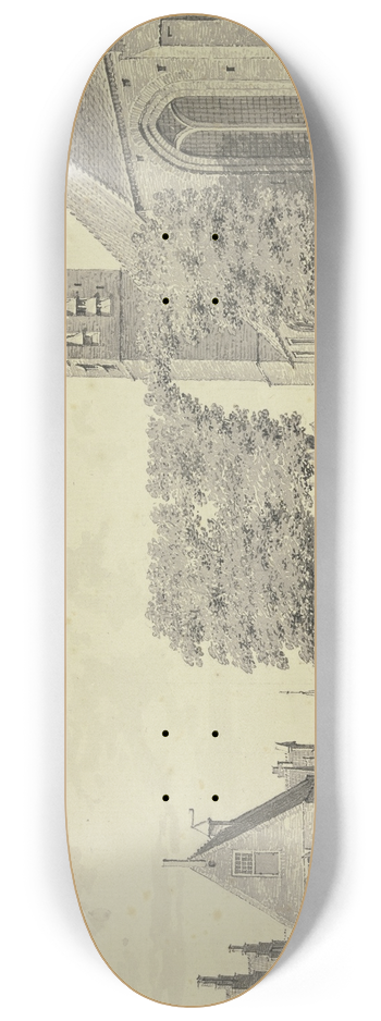 Cornelis Pronk - View from Mappelt 8.25 inch art skate deck