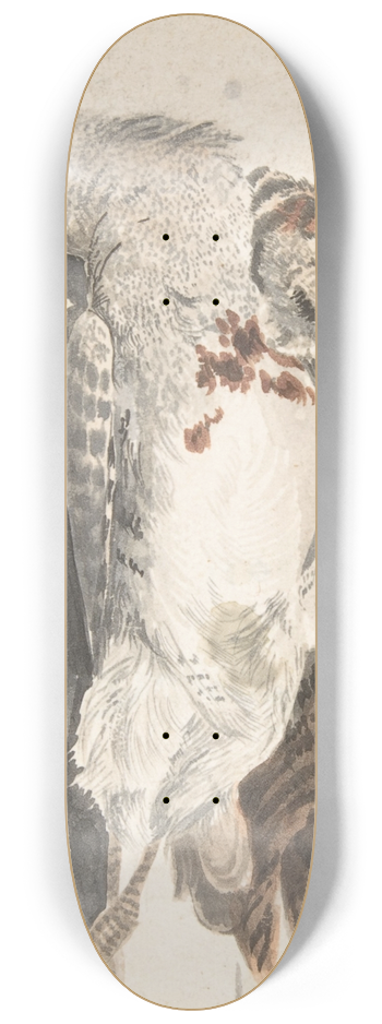 Count Giorgio Durante - Two Dead Birds (A Quail and a Long-Beaked Bird) 8.25 inch art skate deck