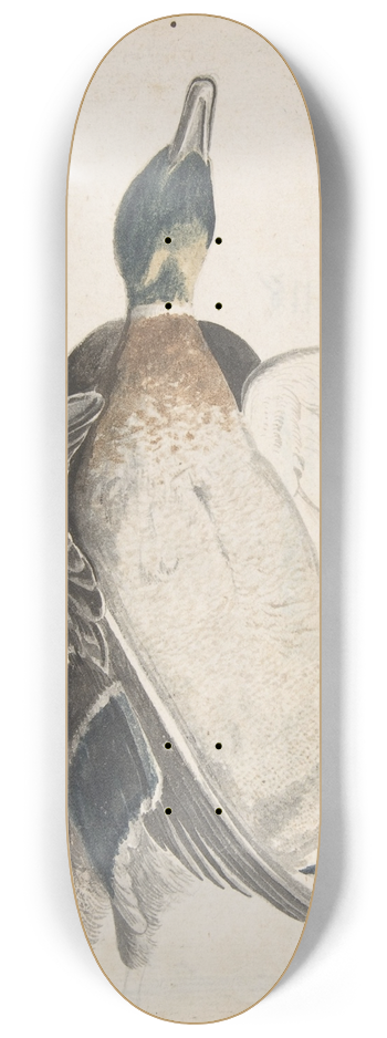 Count Giorgio Durante - Two Dead Ducks 8.25 inch art skate deck