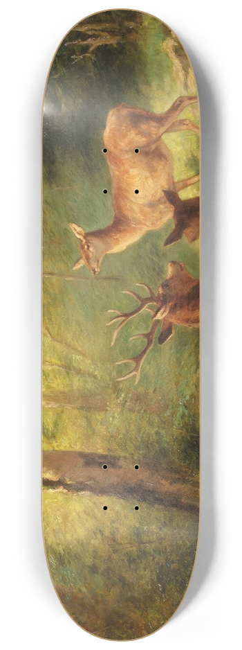 Franz Xaver von Pausinger - Rotwild in sonniger Waldlichtung 8.25 inch art skate deck