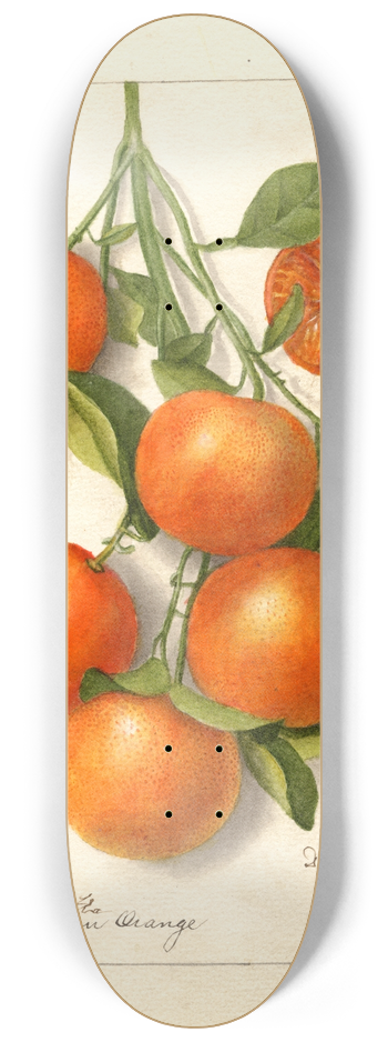 Deborah Griscom Passmore - Citrus: Calamondian 8.25 inch art skate deck