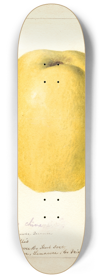 Deborah Griscom Passmore - Cydonia oblonga: Chinese 8.25 inch art skate deck