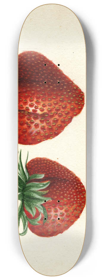 Deborah Griscom Passmore - Fragaria: Brandywine 8.25 inch art skate deck