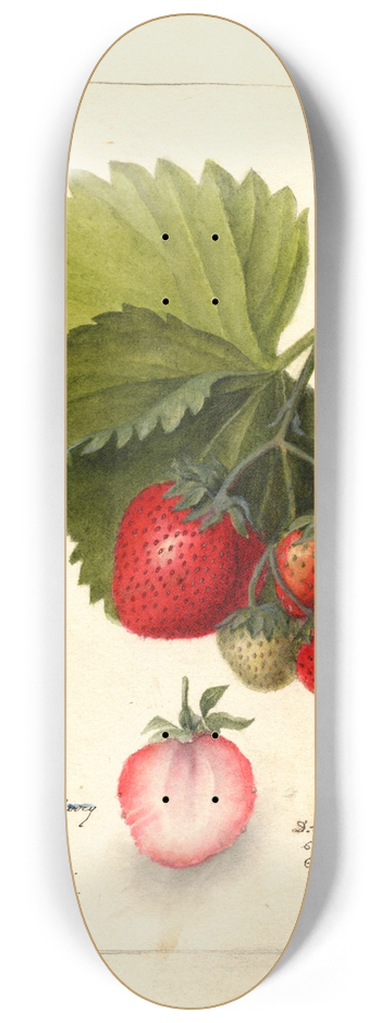 Deborah Griscom Passmore - Fragaria: Dayton 8.25 inch art skate deck