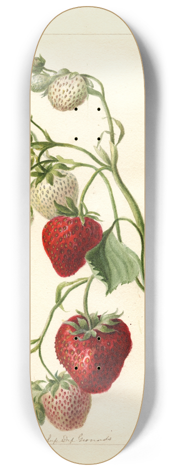 Deborah Griscom Passmore - Fragaria: Timbrell 8.25 inch art skate deck