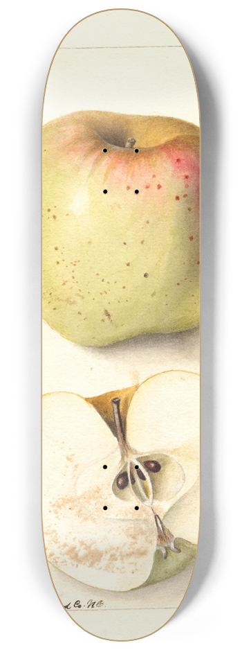 Deborah Griscom Passmore - Malus domestica: All Purpose 8.25 inch art skate deck
