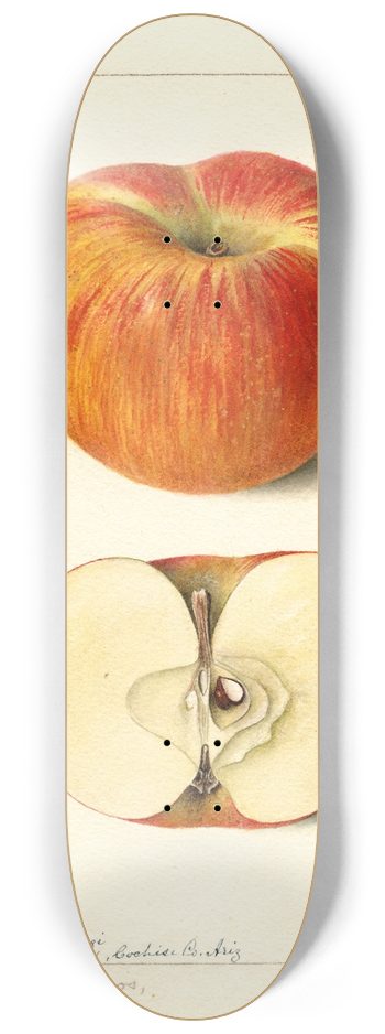Deborah Griscom Passmore - Malus domestica: Ralls 8.25 inch art skate deck