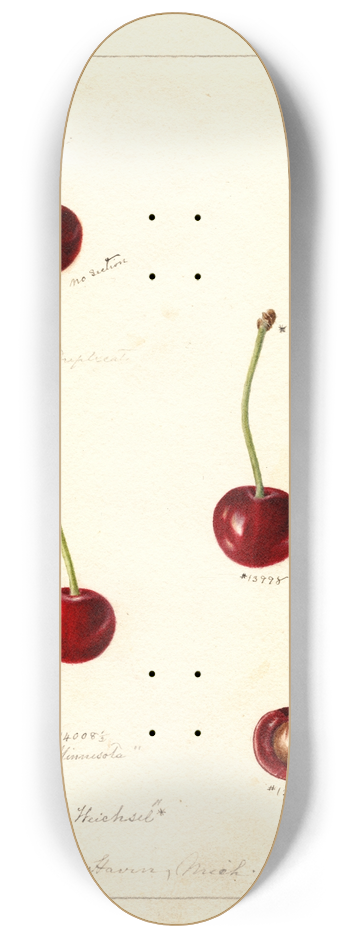 Deborah Griscom Passmore - Prunus avium 8.25 inch art skate deck