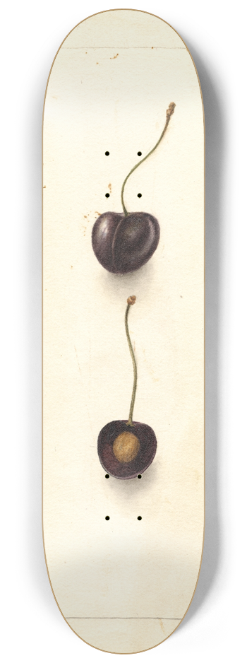 Deborah Griscom Passmore - Prunus avium: Early Purple 8.25 inch art skate deck