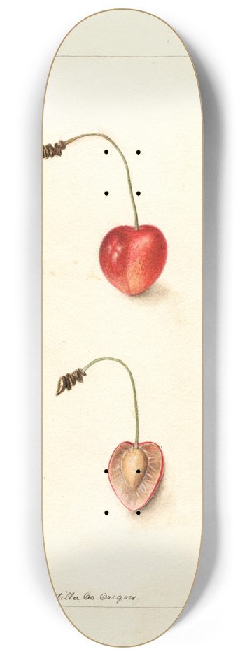 Deborah Griscom Passmore - Prunus avium: Shelton 8.25 inch art skate deck