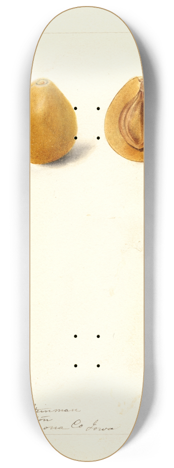 Deborah Griscom Passmore - Prunus domestica: Moldavka 8.25 inch art skate deck