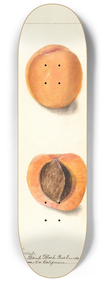 Deborah Griscom Passmore - Prunus mume: Coles Hemskirk 8.25 inch art skate deck