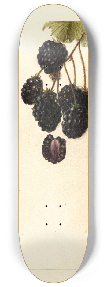 Deborah Griscom Passmore - Rubus: Lawton 8.25 inch art skate deck