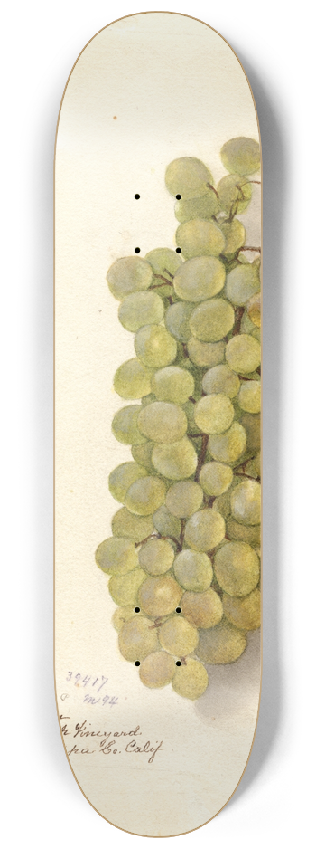 Deborah Griscom Passmore - Vitis 8.25 inch art skate deck