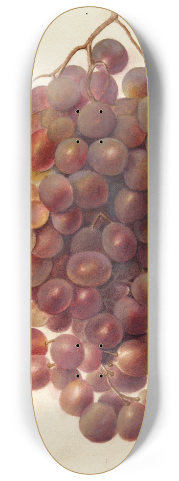 Deborah Griscom Passmore - Vitis: Hycales 8.25 inch art skate deck