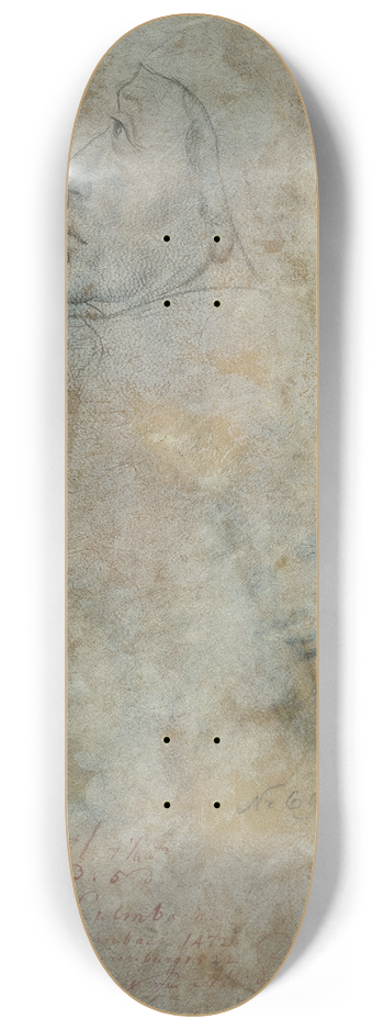 Dieric Bouts - Head in profile 8.25 inch art skate deck