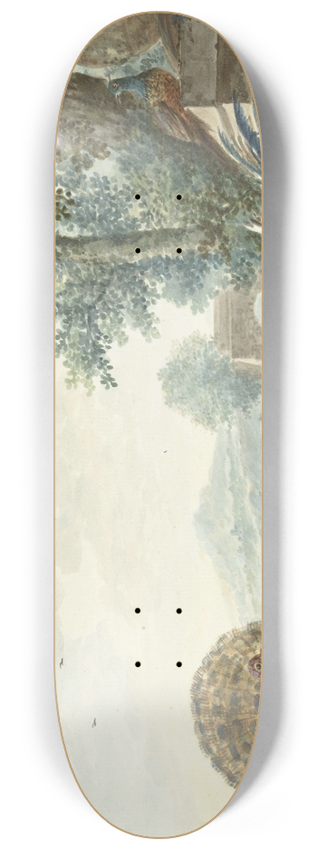 Dirk Kuipers - Hoenderhof 8.25 inch art skate deck