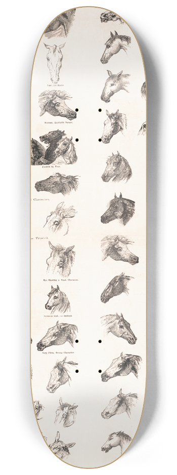 D. Macner - Points and contrasts of character 8.25 inch art skate deck