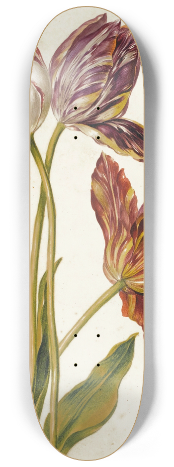 Dutch School - Tulips 8.25 inch art skate deck