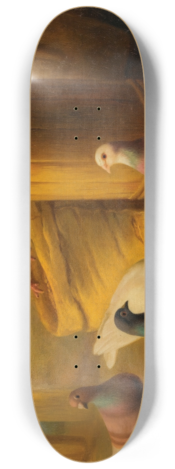 Edgar Hunt - Chickens; Pigeons 8.25 inch art skate deck